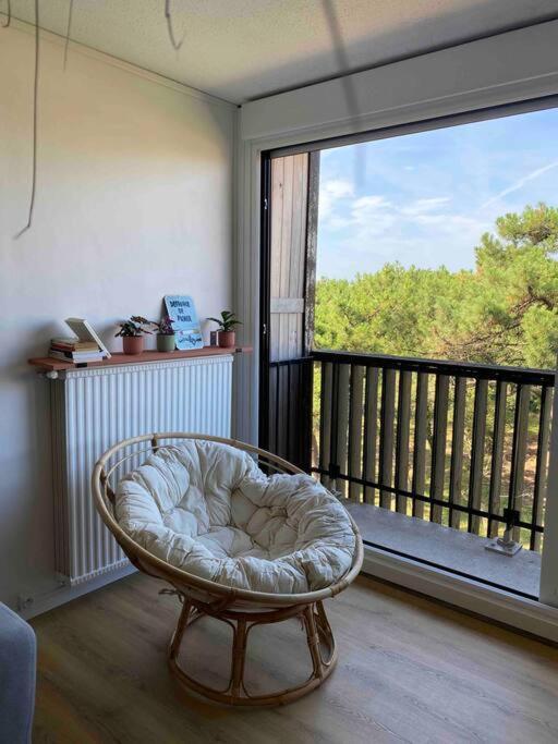 Grand T2 A 150M De La Plage Apartment Seignosse Ngoại thất bức ảnh
